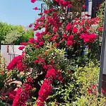 Aduar * Marbella