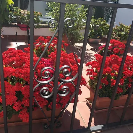 Aduar Guest house *