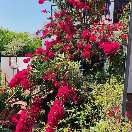 Aduar * Marbella