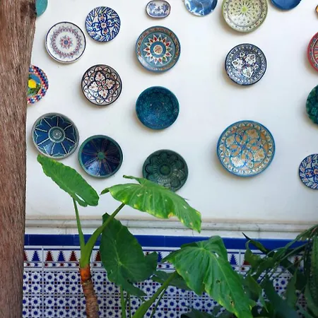 Aduar Zajazd Marbella