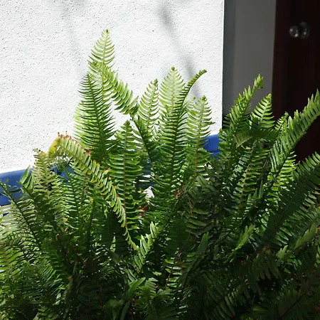 Aduar Inn Marbella