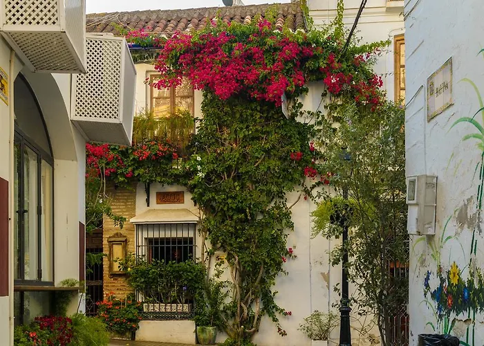 Aduar אורחן מארבלה