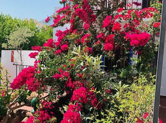 Aduar * מארבלה