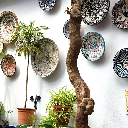 Aduar * מארבלה