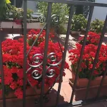 Aduar Fogadó *