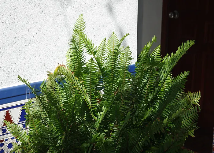 Aduar Mini-hôtel Marbellac